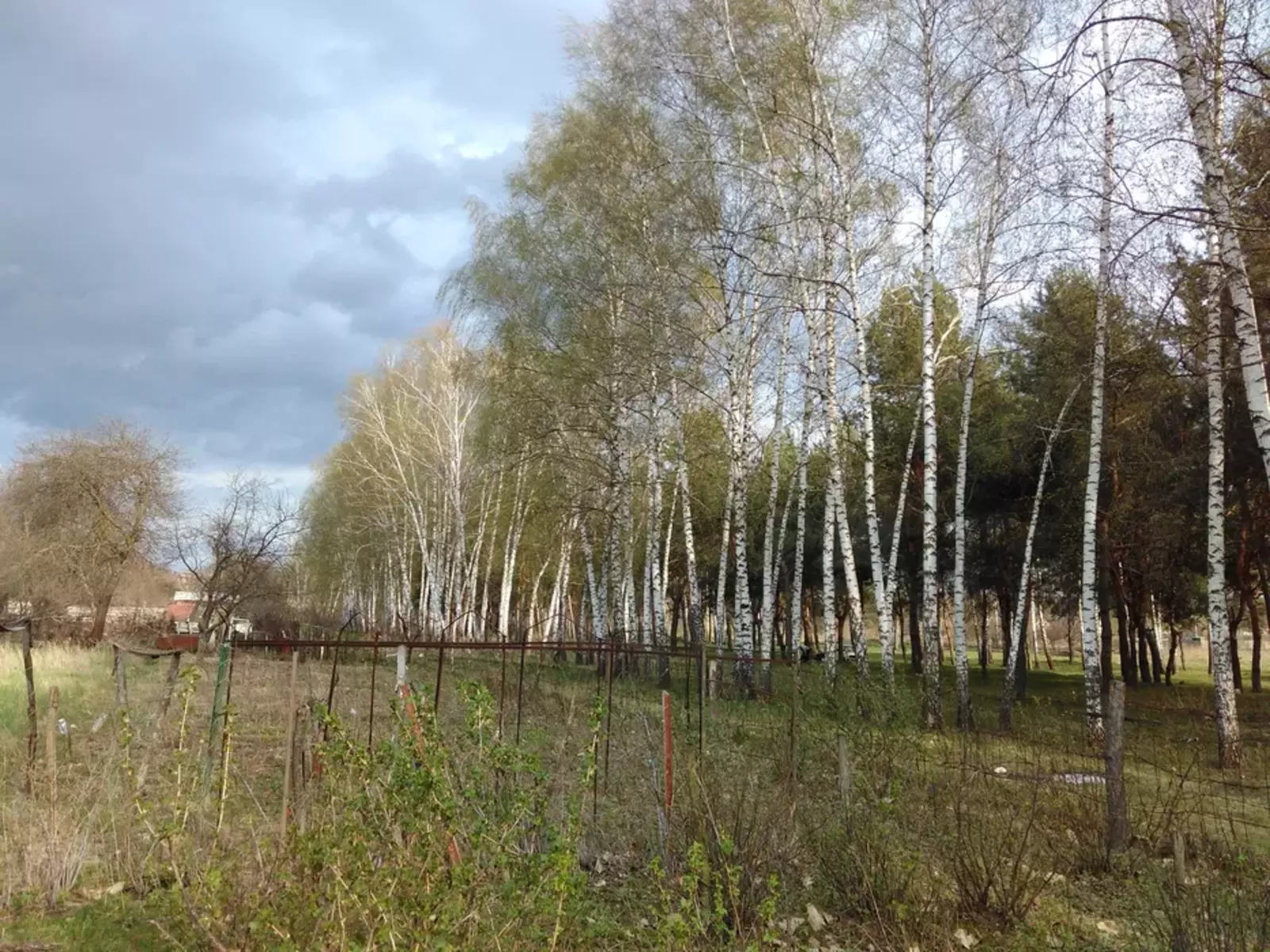 Продается дом Сумская, Сумы, Заречный, Римського-Корсакова, с/т Хімік-1 фото 1 Продается дом Сумская, Сумы, Заречный, Римського-Корсакова, с/т Хімік-1 фото 1