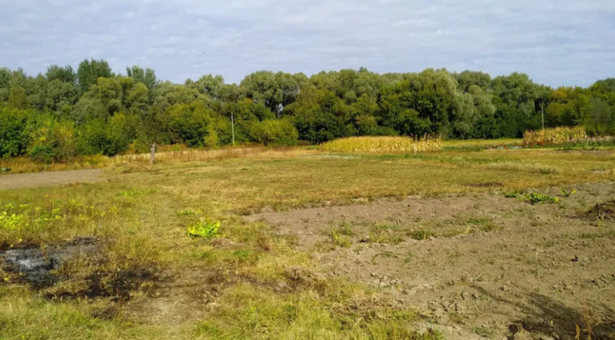 Продается дом Сумская, Сумский, Пушкаревка фото 1 Продается дом Сумская, Сумский, Пушкаревка фото 1