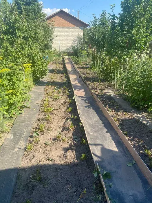 Продается дом с/т Олдиш, Сумы, Сумская, Заречный фото 1 Продается дом с/т Олдиш, Сумы, Сумская, Заречный фото 1