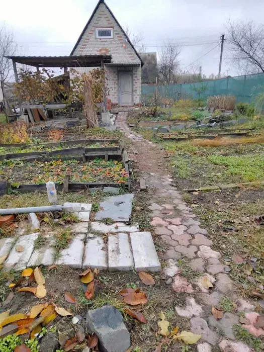 Продается дом Сумская, Сумы, Заречный, Олдиш, Вул. Виноградна, фото 1 Продается дом Сумская, Сумы, Заречный, Олдиш, Вул. Виноградна, фото 1