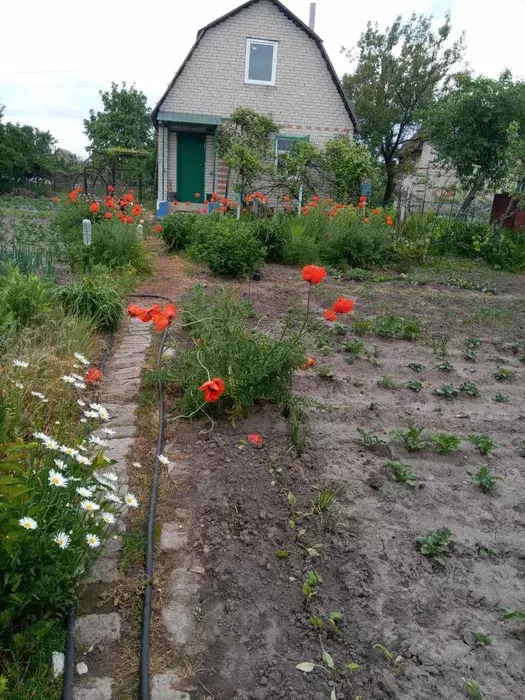   , , , -86, / , .10  1