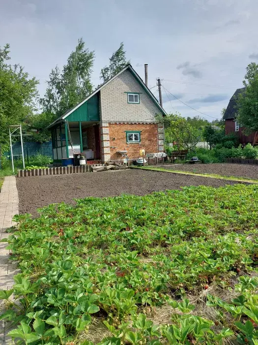 Продается дом Чисті пруди, Сумы, Сумская, Заречный фото 1 Продается дом Чисті пруди, Сумы, Сумская, Заречный фото 1