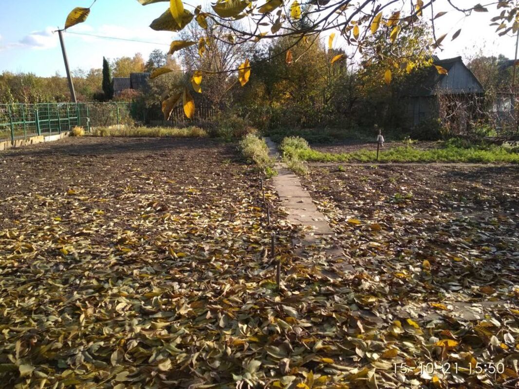 Дача Барановка фото 1 Дача Барановка фото 1