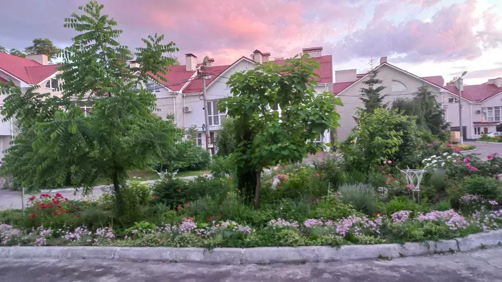 ��������� ��� ������� ����� ���������� ��-��, ����, �������, �������� ���� 1