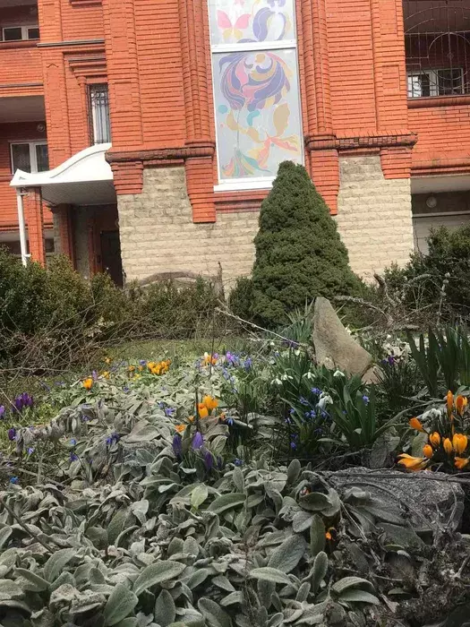 Продается дом Сумская, Сумы фото 1 Продается дом Сумская, Сумы фото 1