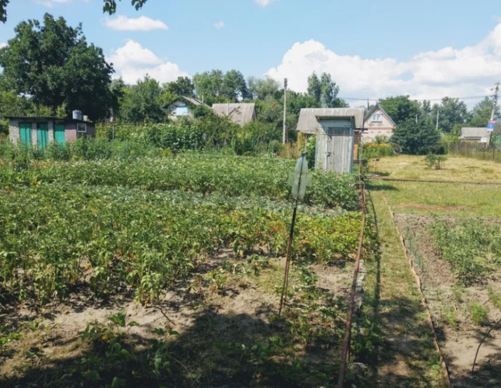 Продается дом Сумская, Сумы фото 1 Продается дом Сумская, Сумы фото 1