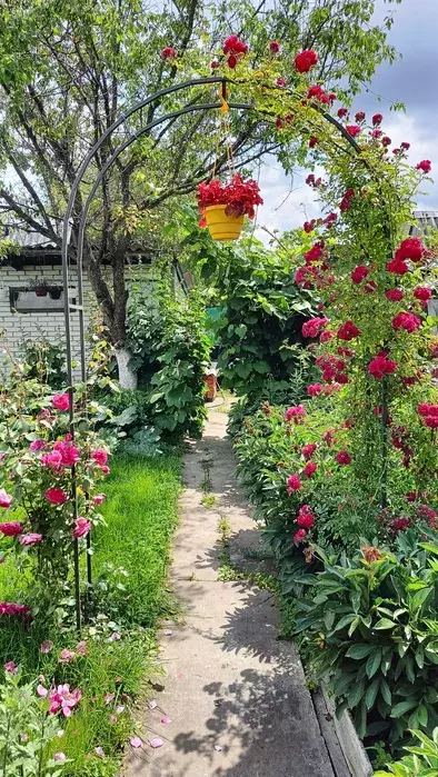 Продается дом Сумская, Сумы, Заречный, с/т Красносільський фото 1 Продается дом Сумская, Сумы, Заречный, с/т Красносільський фото 1