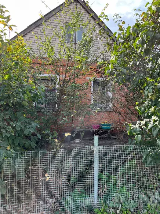 ��������� ��� ��������, �������, ������� ���� 1