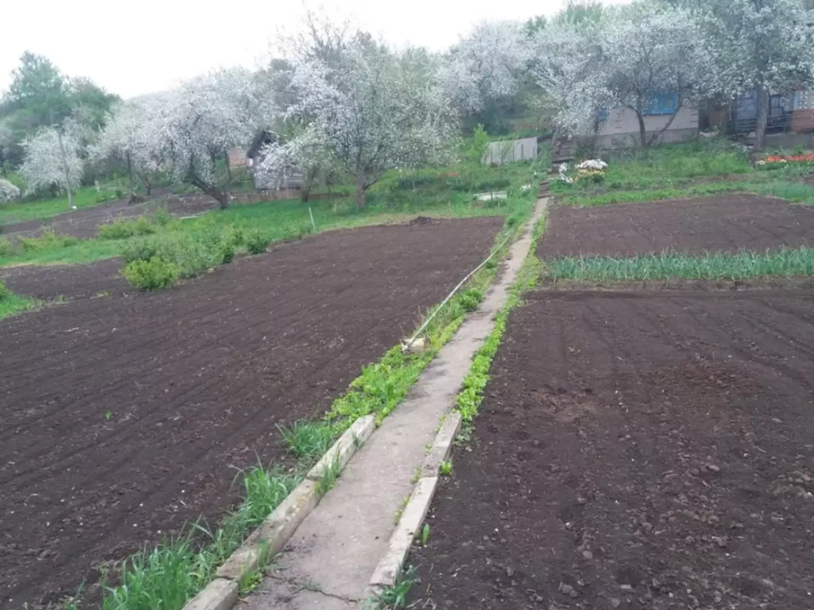 Продается дом Сумская, Сумы, Заречный, Аеропорт/ рибгосп с/т Барвінок,, ділянка №126 фото 1 Продается дом Сумская, Сумы, Заречный, Аеропорт/ рибгосп с/т Барвінок,, ділянка №126 фото 1