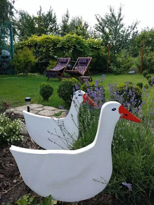 ��������� ��� �/� ���� �����, ����, ������� ���� 1