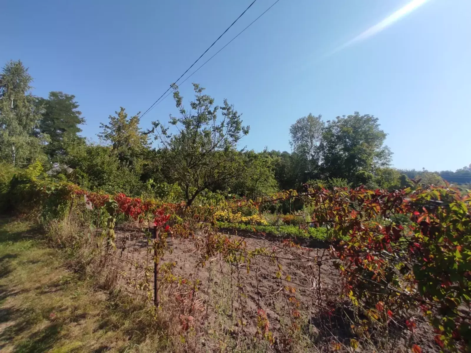 Продается дом Сумская, Сумы, Заречный, Баранівка, масив Озерний с/т Монтажник фото 1 Продается дом Сумская, Сумы, Заречный, Баранівка, масив Озерний с/т Монтажник фото 1