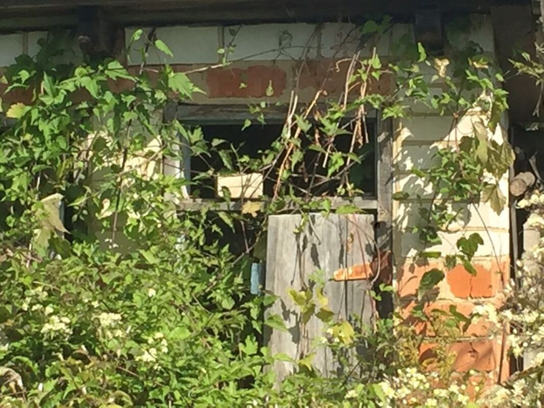 Дача Авиатор фото 1 Дача Авиатор фото 1