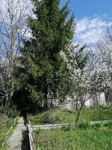 Продается дом Сумская, Сумы, Олдыш фото 1 Продается дом Сумская, Сумы, Олдыш фото 1