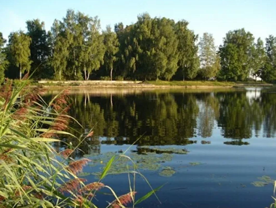 Продается дом Сумская, Сумы, Заречный, Прокофьева фото 1 Продается дом Сумская, Сумы, Заречный, Прокофьева фото 1