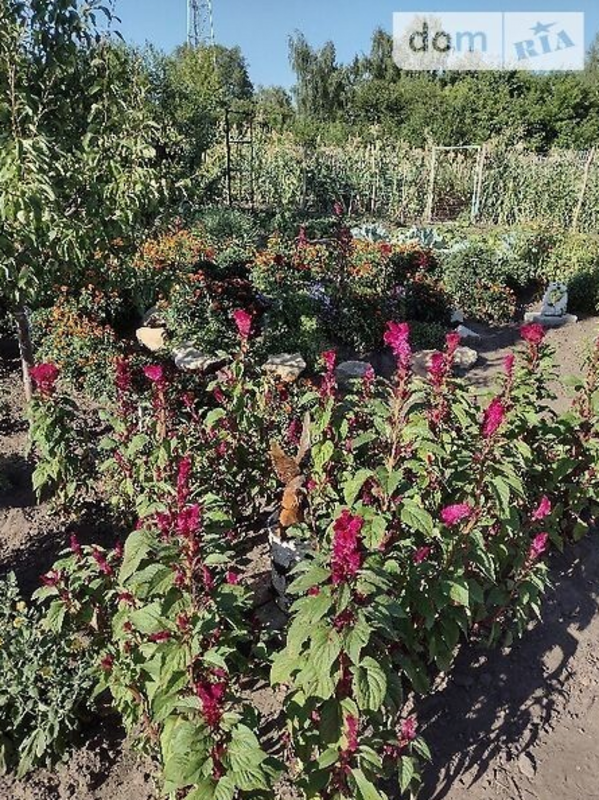 Продается дом Сумская, Сумский, Хотинь фото 1 Продается дом Сумская, Сумский, Хотинь фото 1