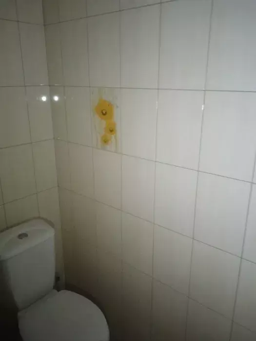 Продается дом Сумская, Сумы, Заречный фото 1 Продается дом Сумская, Сумы, Заречный фото 1