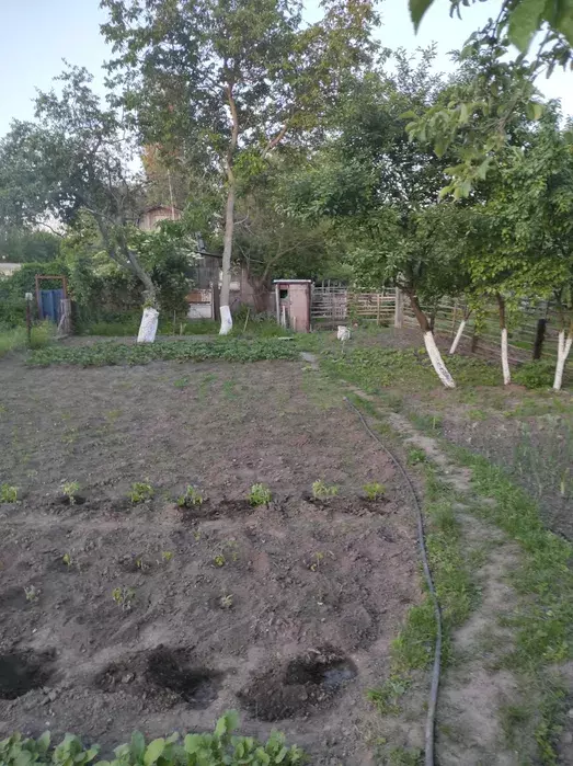 ділянка в с/т Хімік-1 фото 1 ділянка в с/т Хімік-1 фото 1