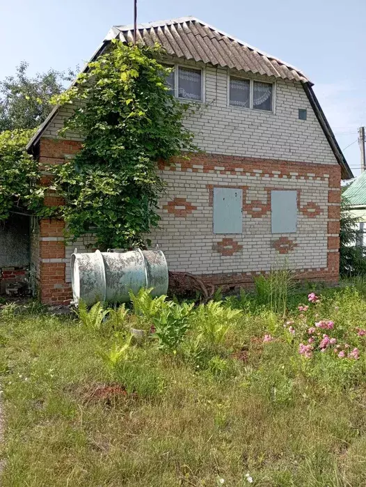 Дача біля річки фото 1 Дача біля річки фото 1