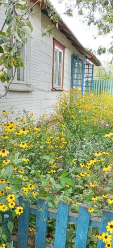 Продается дом Сумская, Сумский фото 1 Продается дом Сумская, Сумский фото 1