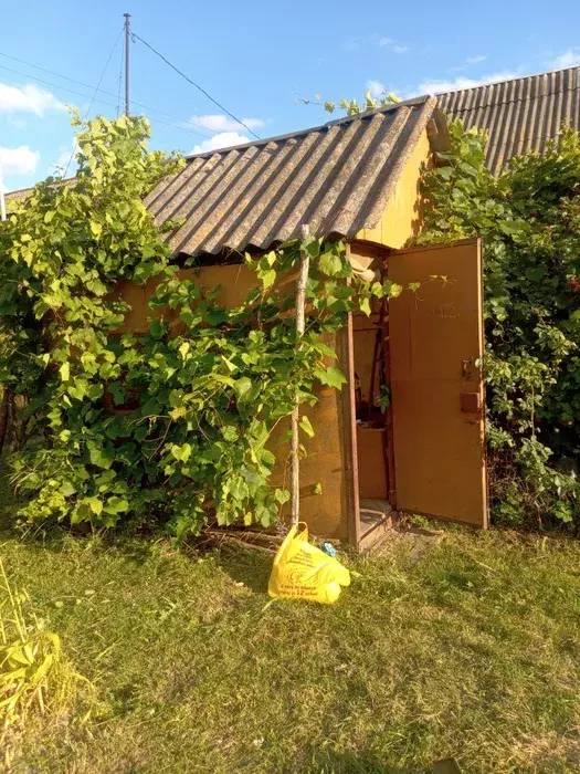 Продается дом Сумская, Сумский, Новоселица, станція Маяк с/т Хімік-2 фото 1 Продается дом Сумская, Сумский, Новоселица, станція Маяк с/т Хімік-2 фото 1