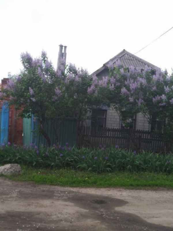 Продается дом Сумская, Сумы, Федько вул. фото 1 Продается дом Сумская, Сумы, Федько вул. фото 1