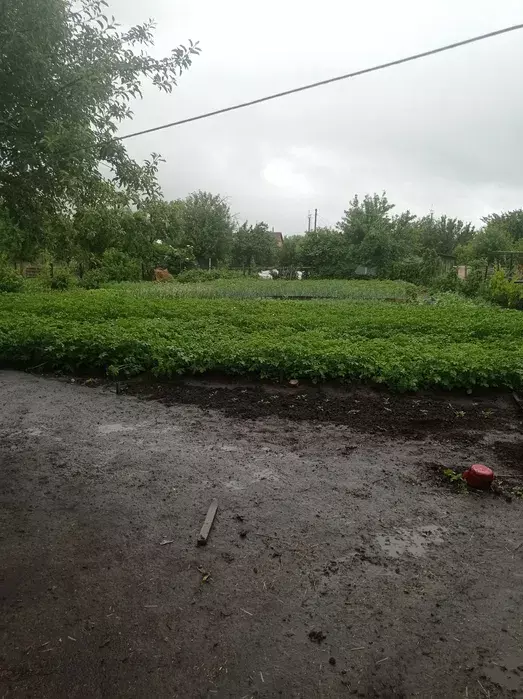 Продается дом Сумская, Сумы, Ковпаковский, Білопільський шлях с/т Цукровик фото 1 Продается дом Сумская, Сумы, Ковпаковский, Білопільський шлях с/т Цукровик фото 1