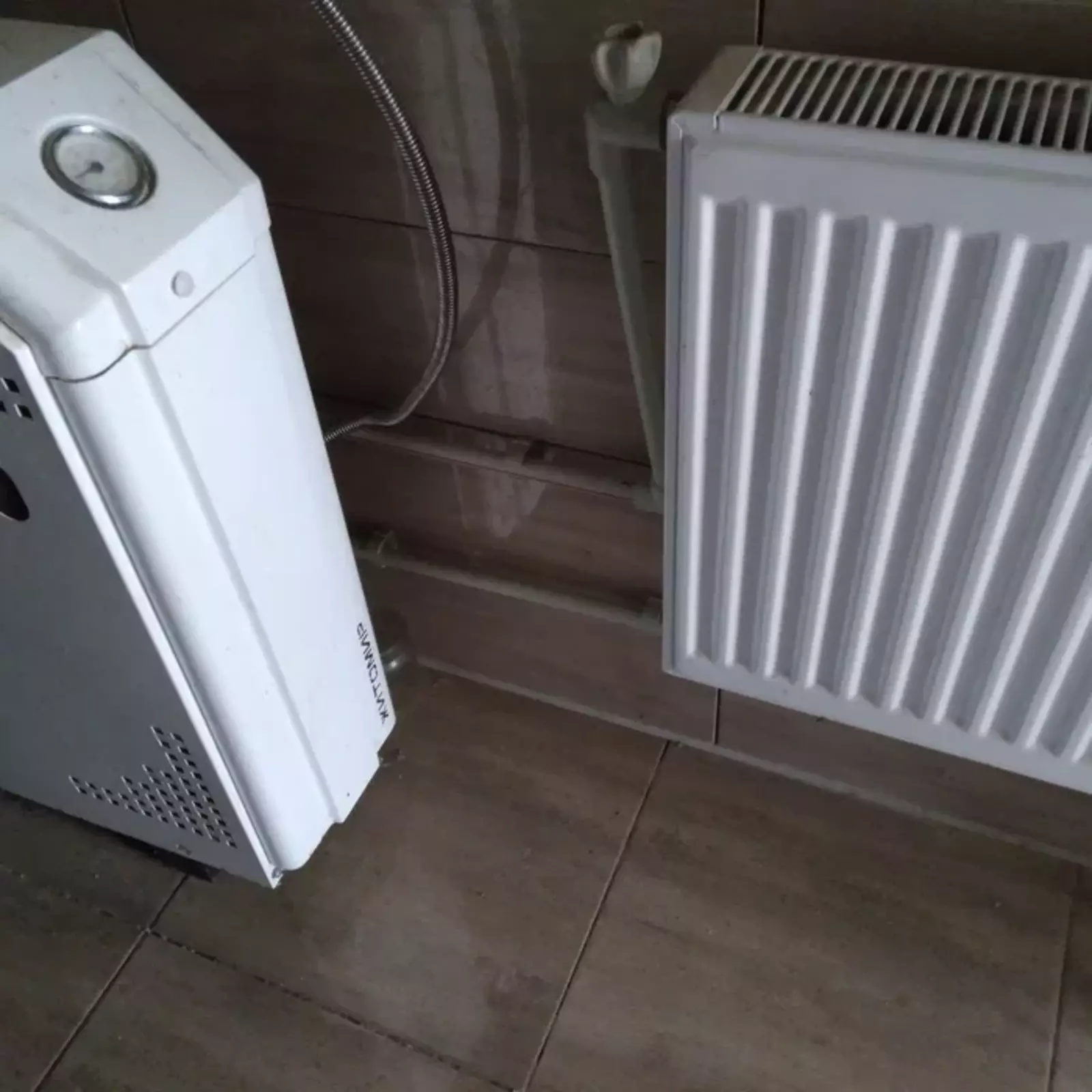 ��������� ��� ����������, �������, ������� ���� 1