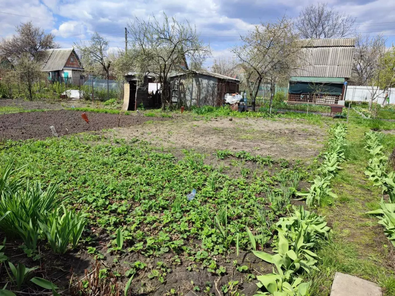 дачна ділянка на Білопільській фото 1 дачна ділянка на Білопільській фото 1