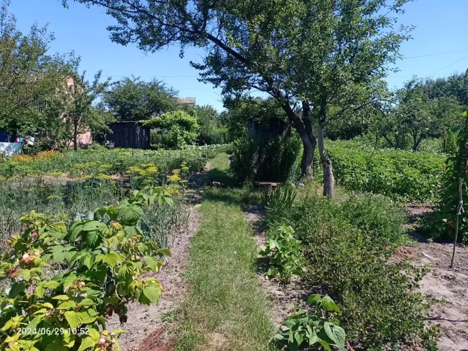 Продается дом Сумская, Сумы, Заречный, Олдиш, с/т Світанок фото 1 Продается дом Сумская, Сумы, Заречный, Олдиш, с/т Світанок фото 1