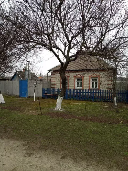 ��������� ��� ������� �����, ��������������, ������� ���� 1