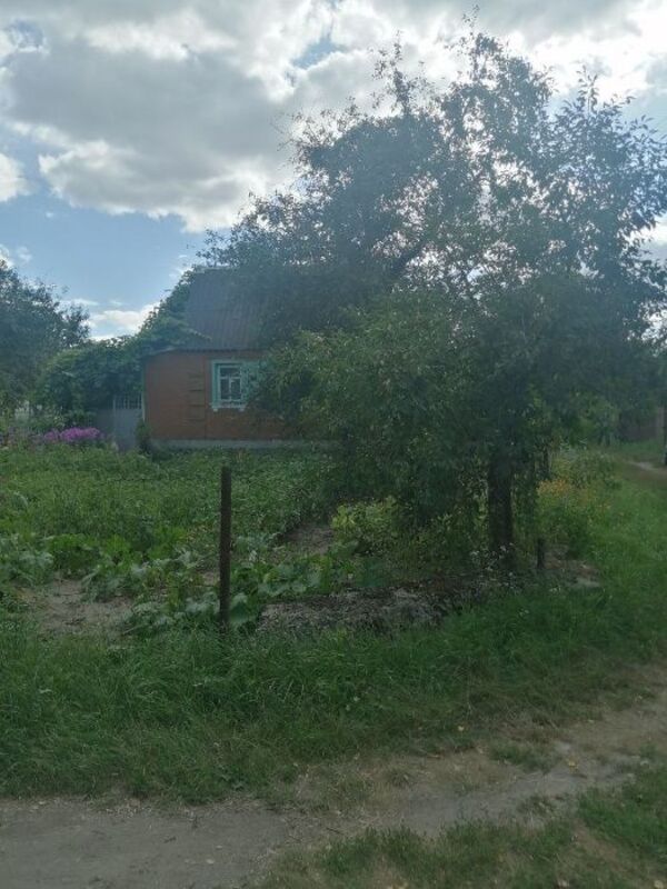 Чистые пруды дача фото 1 Чистые пруды дача фото 1