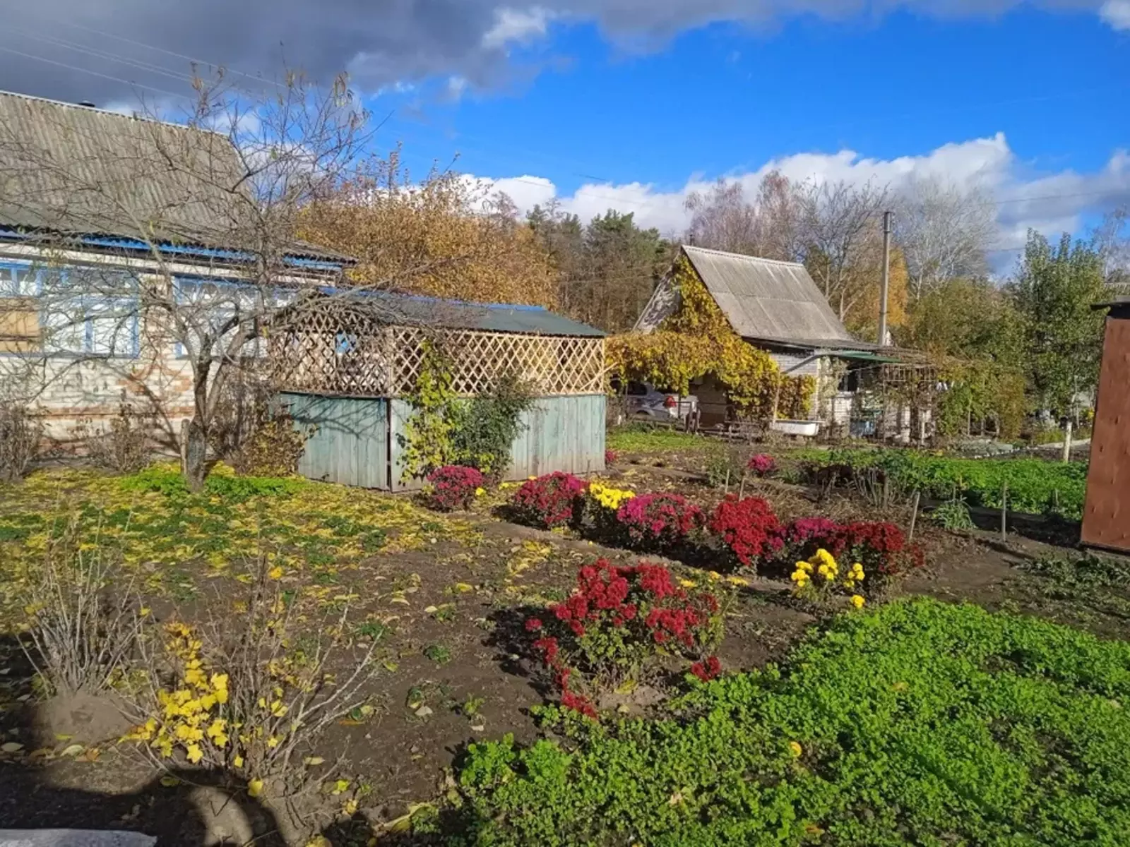 Продается дом Сумская, Сумы, Заречный, Олдиш фото 1 Продается дом Сумская, Сумы, Заречный, Олдиш фото 1