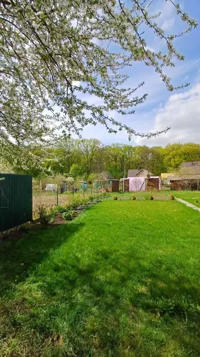 ��������� ��� ���� �����, ����, �������, �������� ���� 1