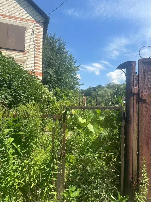 ��������� ��� ������ �������, ����, �������, �������� ���� 1