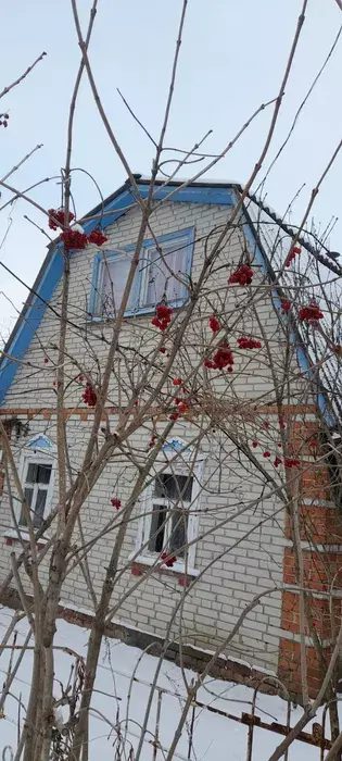 Продается дом Сумская, Сумы, Заречный, Чисті пруди фото 1 Продается дом Сумская, Сумы, Заречный, Чисті пруди фото 1