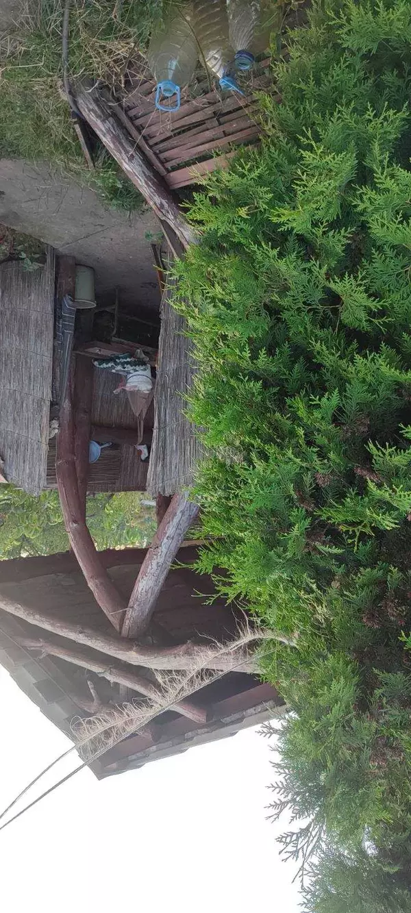 Продается дом Сумская, Сумы, Ковпаковский, Тепличный фото 1 Продается дом Сумская, Сумы, Ковпаковский, Тепличный фото 1