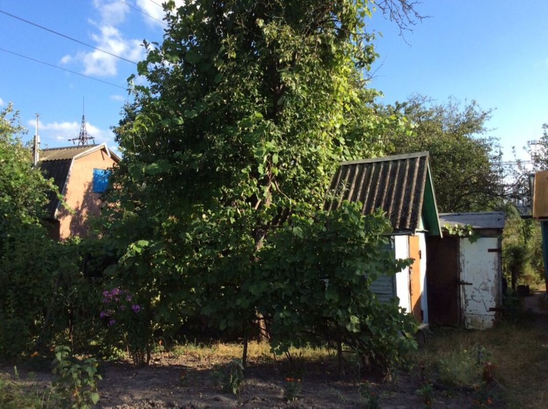 Дача Химгородок фото 1 Дача Химгородок фото 1