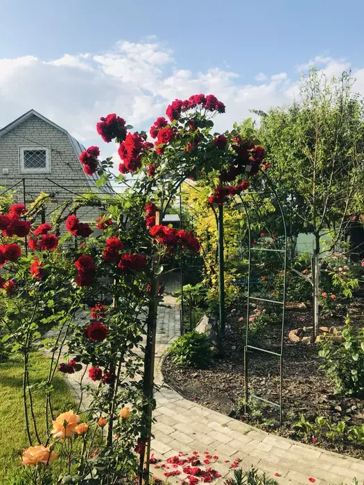 Продается дом Сумская, Сумы, Ковпаковский, за Косівщиною фото 1 Продается дом Сумская, Сумы, Ковпаковский, за Косівщиною фото 1