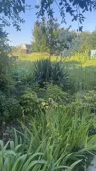 ��������� ��� �/� ճ��-3, ����������, �������, ������� ���� 3