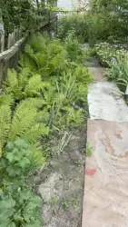 ��������� ��� �/� ճ��-3, ����������, �������, ������� ���� 10