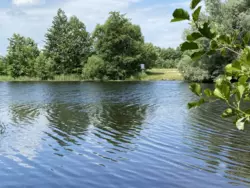 Продается дом Гетьманський парк, Климентово, Ахтырский, Сумская фото 11 Продается дом Гетьманський парк, Климентово, Ахтырский, Сумская фото 11