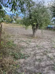 ��������� ��� �/� ճ��, ����, �������, �������� ���� 3