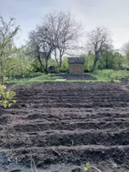 Продается дом Сумская, Сумы, Ковпаковский, р-н Водоканала , Білопільскій шлях фото 1 Продается дом Сумская, Сумы, Ковпаковский, р-н Водоканала , Білопільскій шлях фото 1