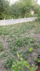 Продается дом Барановка с/т Озерний, Сумы, Сумская, Заречный фото 5 Продается дом Барановка с/т Озерний, Сумы, Сумская, Заречный фото 5