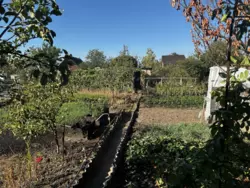 Продается дом Сумская, Сумы, Заречный, Чисті пруди, с/т Ремонтник фото 7 Продается дом Сумская, Сумы, Заречный, Чисті пруди, с/т Ремонтник фото 7