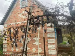 ��������� ��� �������, ����, ��������, ��������� ���� 2