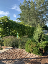 Продается дом Сумская, Сумы, Заречный, Блакитні озера фото 6 Продается дом Сумская, Сумы, Заречный, Блакитні озера фото 6