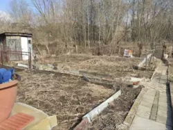 Дачна ділянка на Баранівці фото 6 Дачна ділянка на Баранівці фото 6