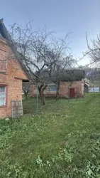 ��������� ��� �����, ���������, ������� ���� 5