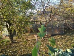 Дача Барановка фото 6 Дача Барановка фото 6